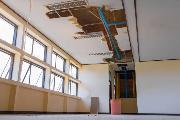 Best Water damage restoration mold remediation  in Oakley, UT