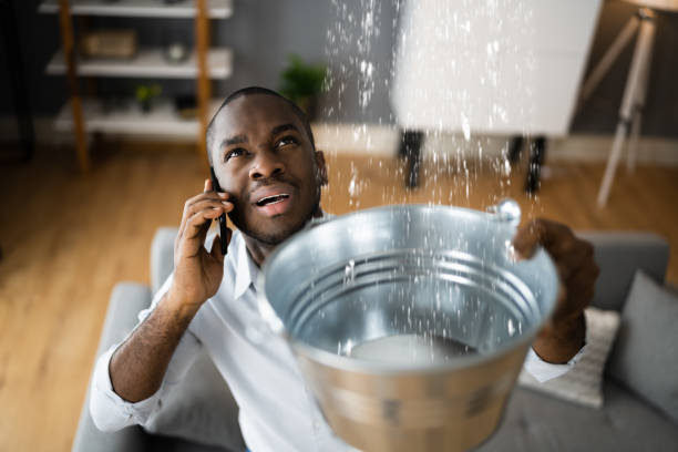  Oakley, UT Water damage restoration Pros