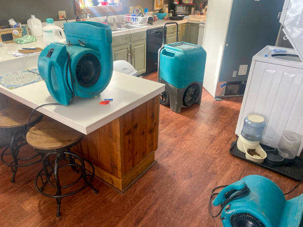 Best Sewage cleanup and water damage restoration  in Oakley, UT