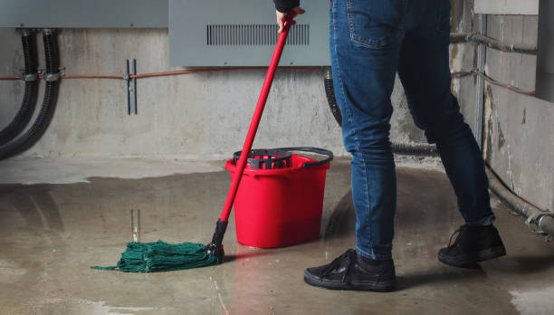 Best Flooded house restoration  in Oakley, UT