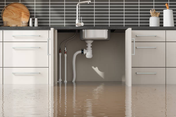 Best Fire Damage Restoration  in Oakley, UT