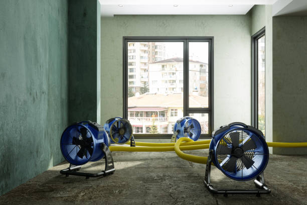Best Emergency water damage restoration  in Oakley, UT